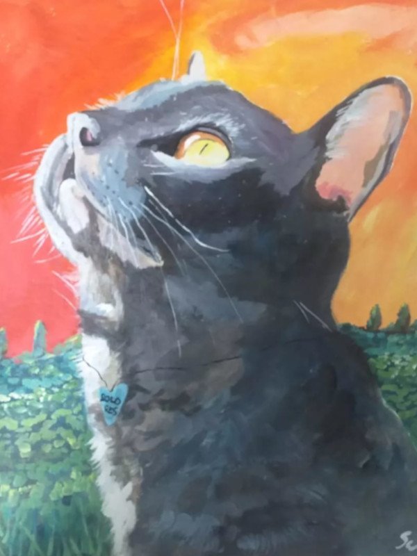 Pintura5
