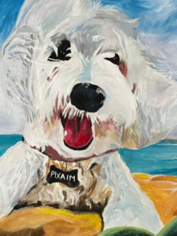 Pintura8