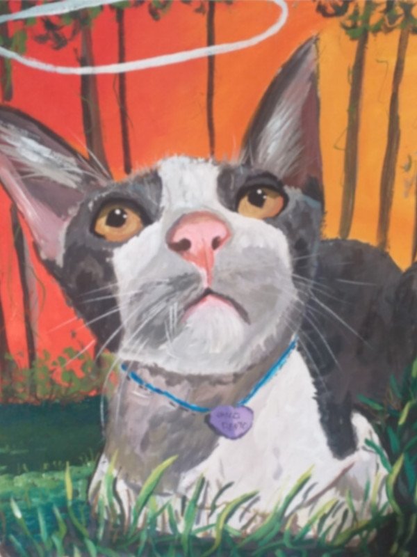 Pintura9